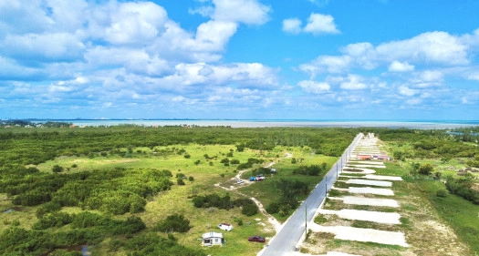 White Orchid - LOT 31 (0.2376 Acre Home Site)