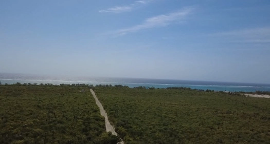 0.23 Acres House Lot located near Colliers Beach