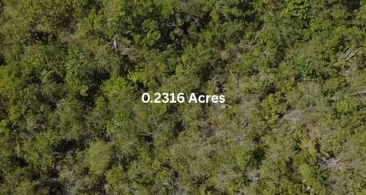 0.23 Acres Residential Lot close to Colliers Beach