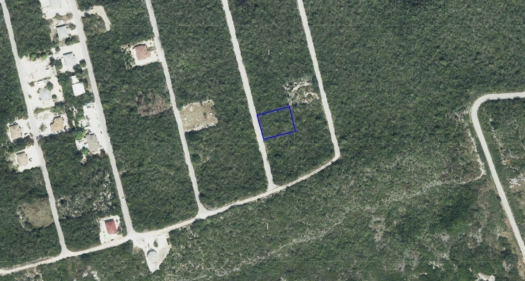 Smoothleaf Drive Cayman Brac 0.30 Acres